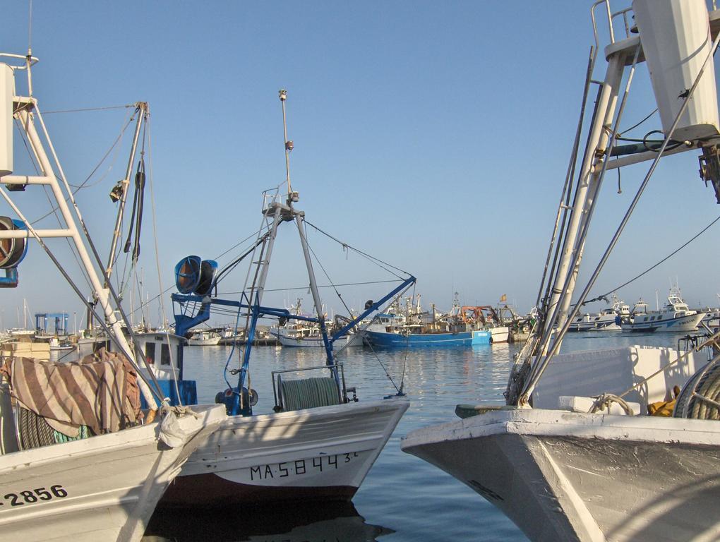 El Paraiso Caleta De Velez